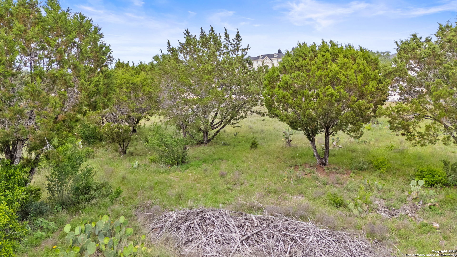 2542 Black Bear Drive New Braunfels TX 78132