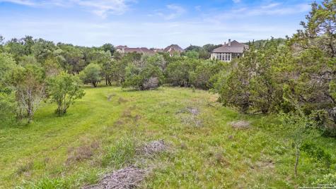 2542 Black Bear Drive New Braunfels TX 78132