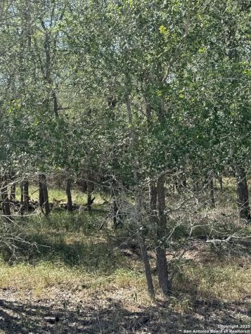 412 Kerr Avenue Sutherland Springs TX 78161