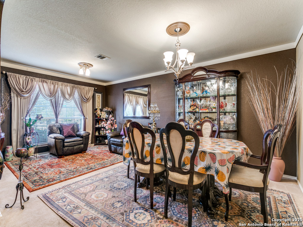 10702 Diamond Rock San Antonio TX 78251