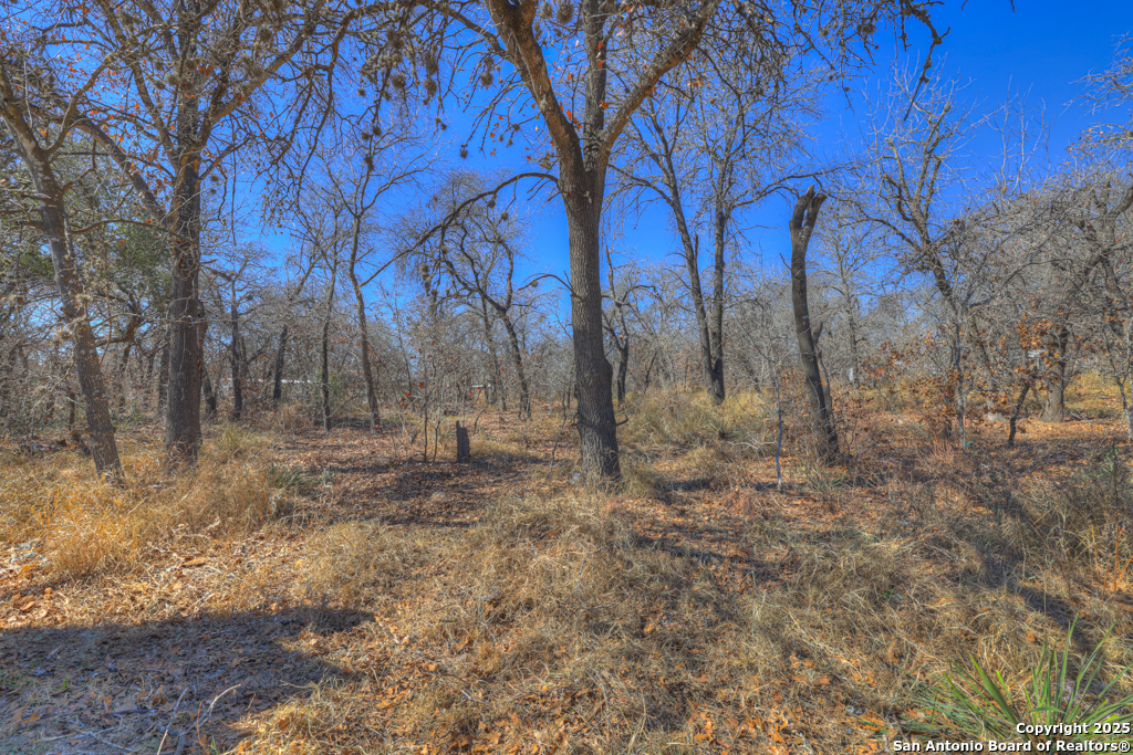 23115 Pocahontas San Antonio TX 78264