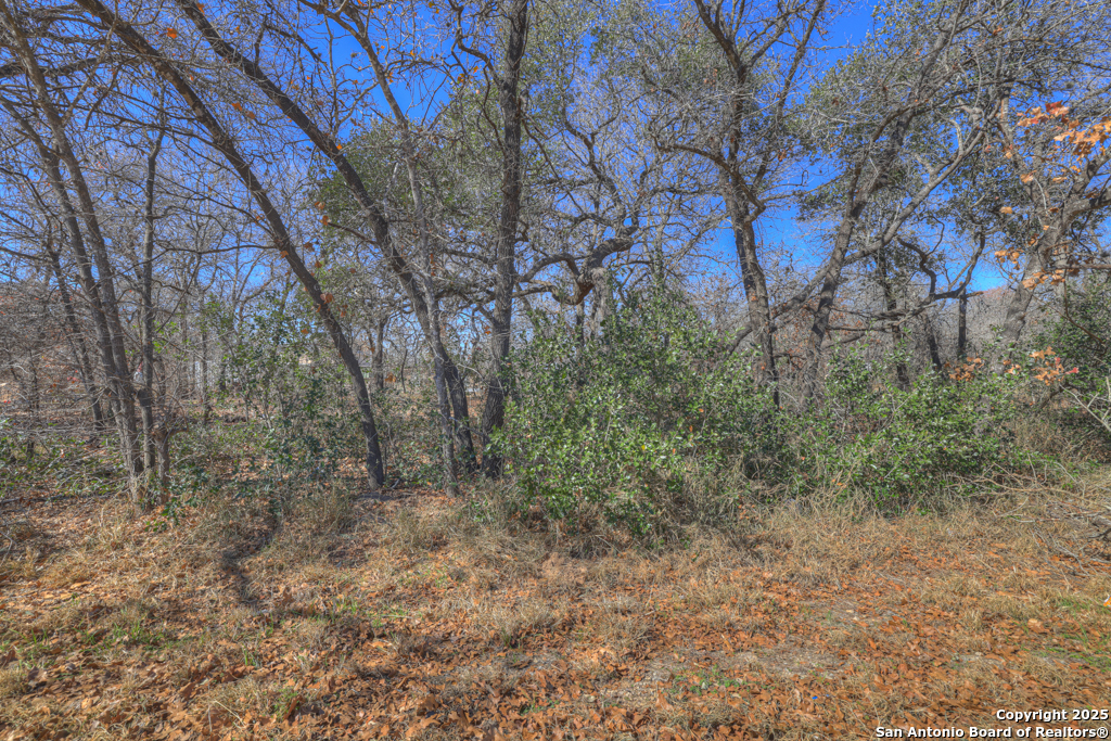 23115 Pocahontas San Antonio TX 78264