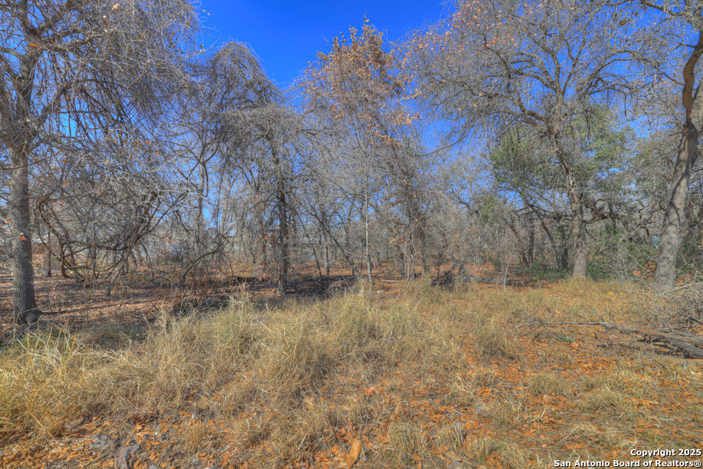 23115 Pocahontas San Antonio TX 78264