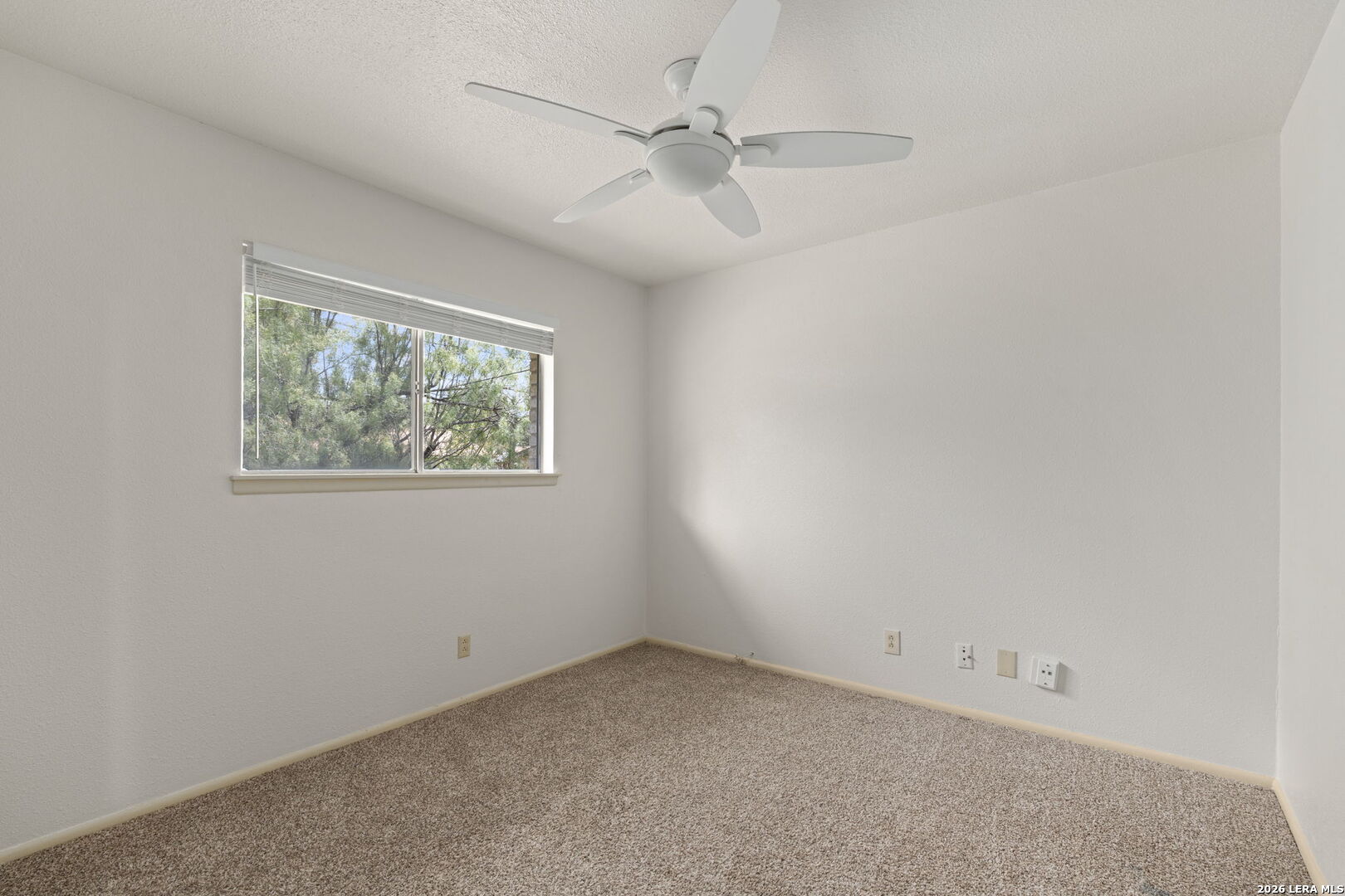 6707 Cherryleaf Street Leon Valley TX 78238
