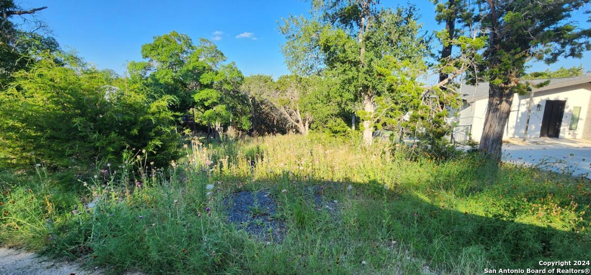 1697 Winding Creek Spring Branch TX 78070
