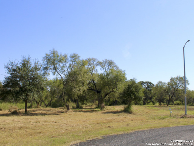 185 E Short Meadow Drive Lytle TX 78052