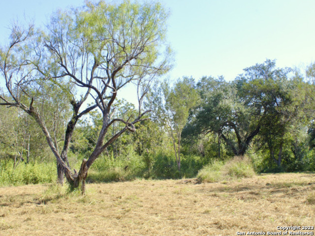 185 E Short Meadow Drive Lytle TX 78052