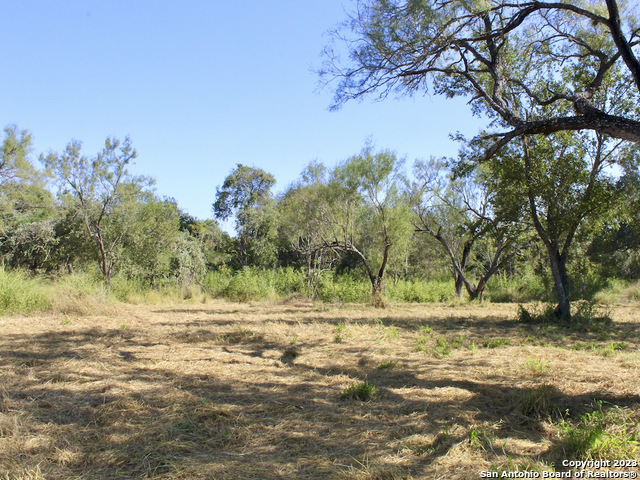 185 E Short Meadow Drive Lytle TX 78052