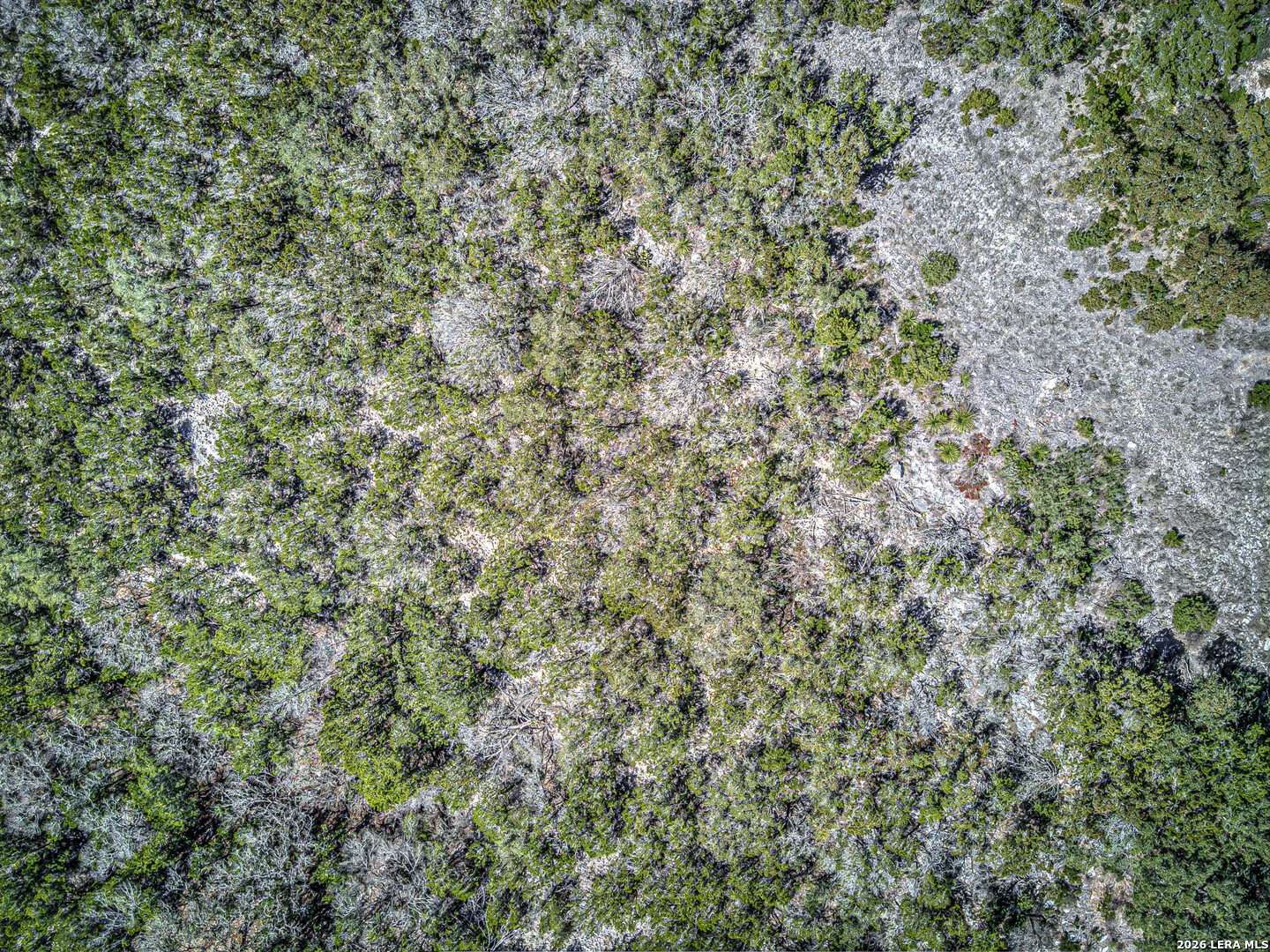 Lot 412 Pr 1748 Mico TX 78056