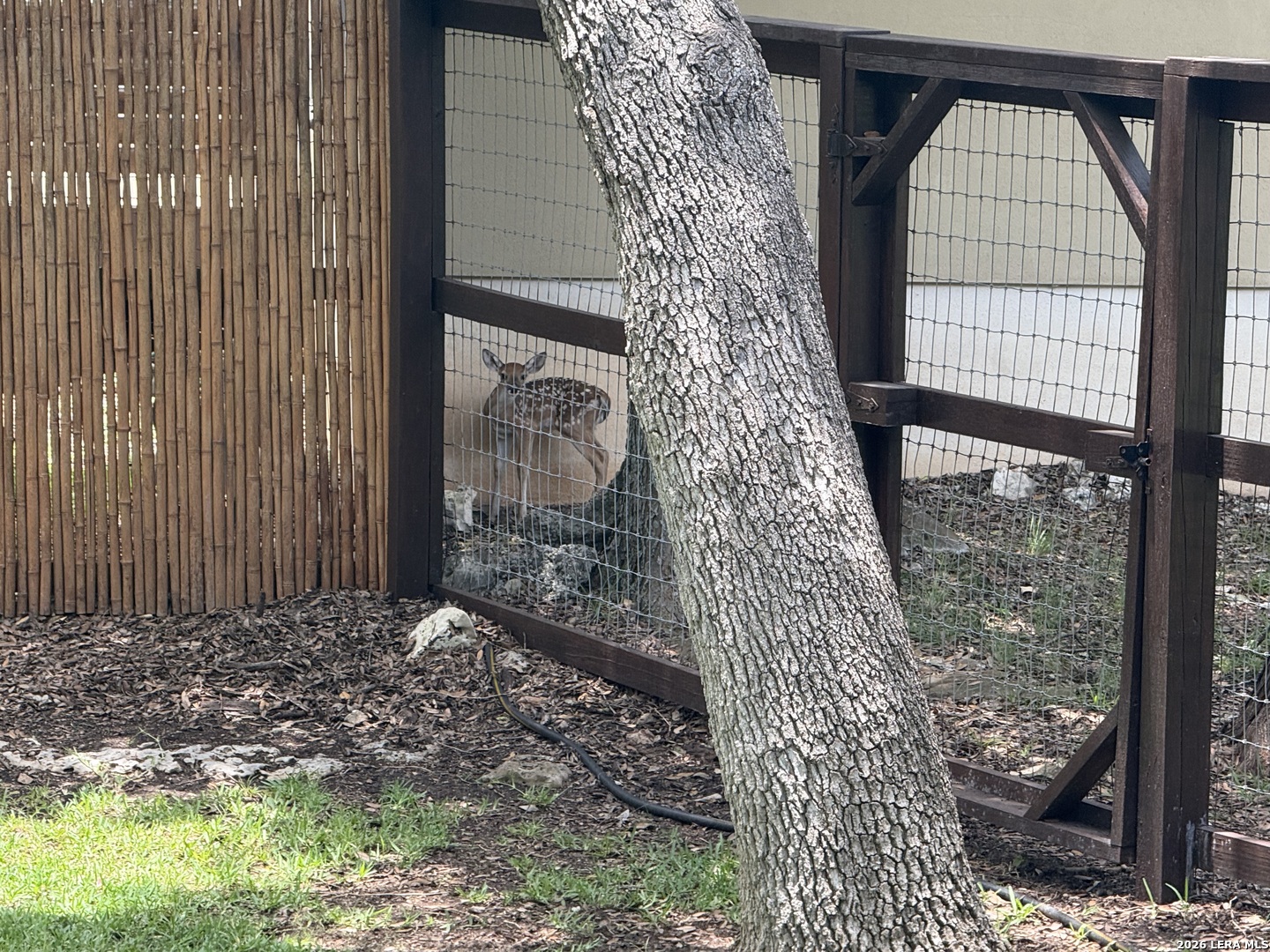 26331 White Eagle San Antonio TX 78260
