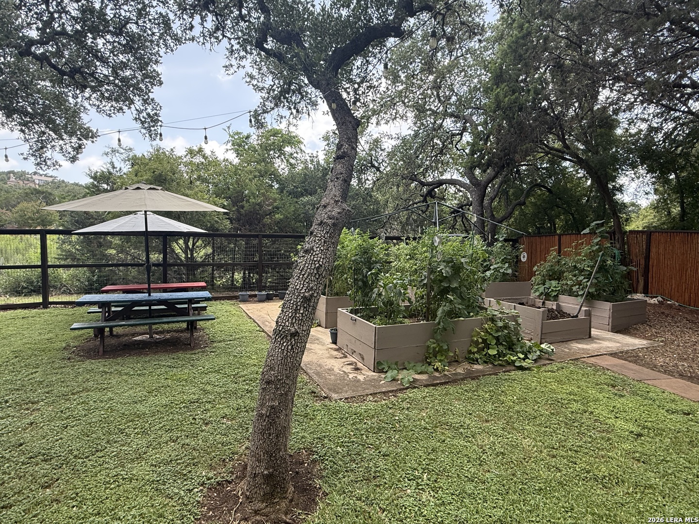 26331 White Eagle San Antonio TX 78260