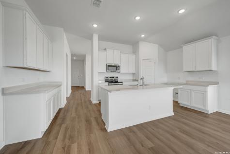 1177 Limestone Ridge Seguin TX 78155