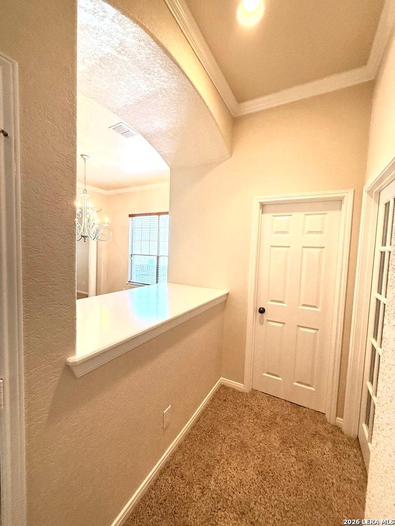 101 Rattlesnake Bluff Boerne TX 78006