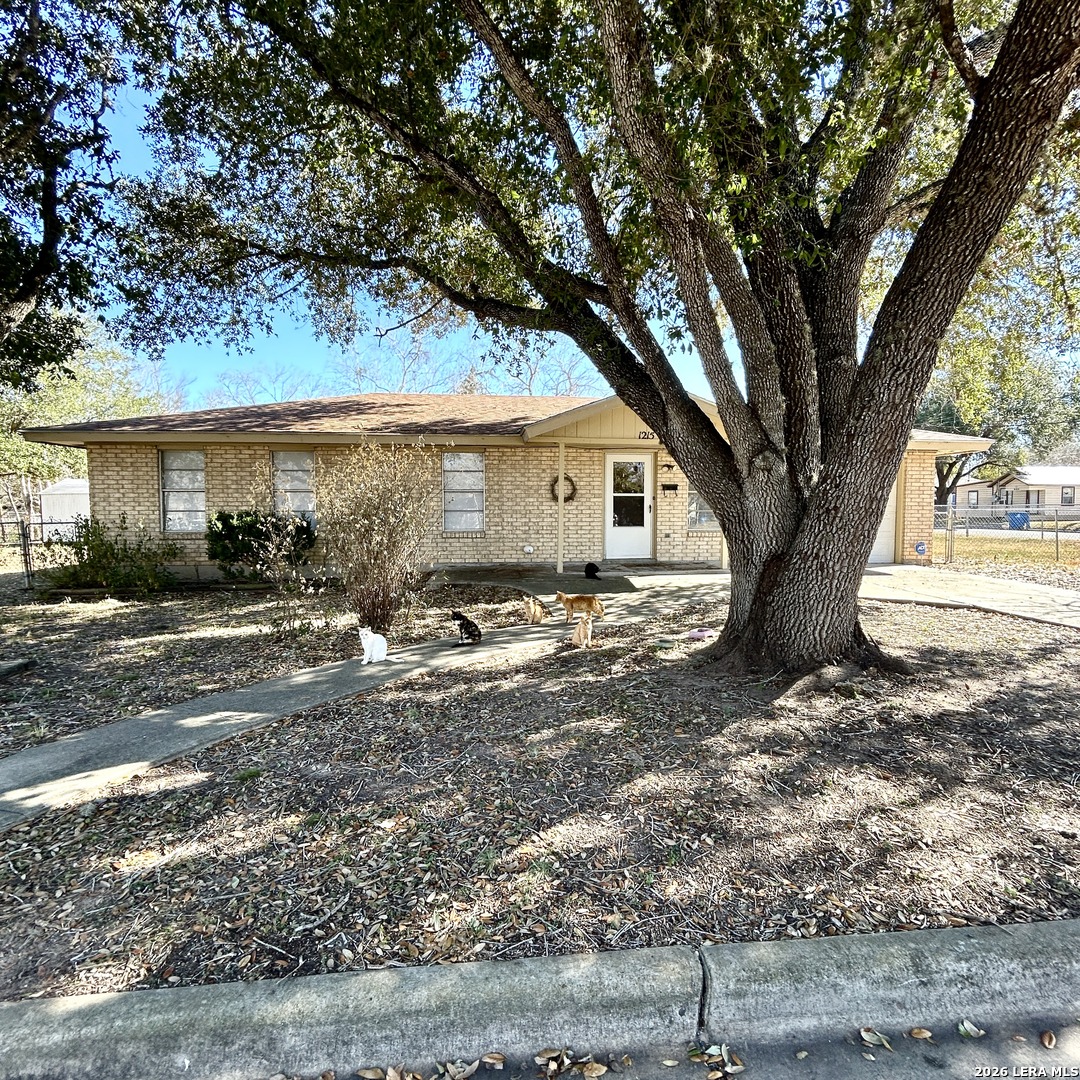 1215 W Crockett Beeville TX 78102