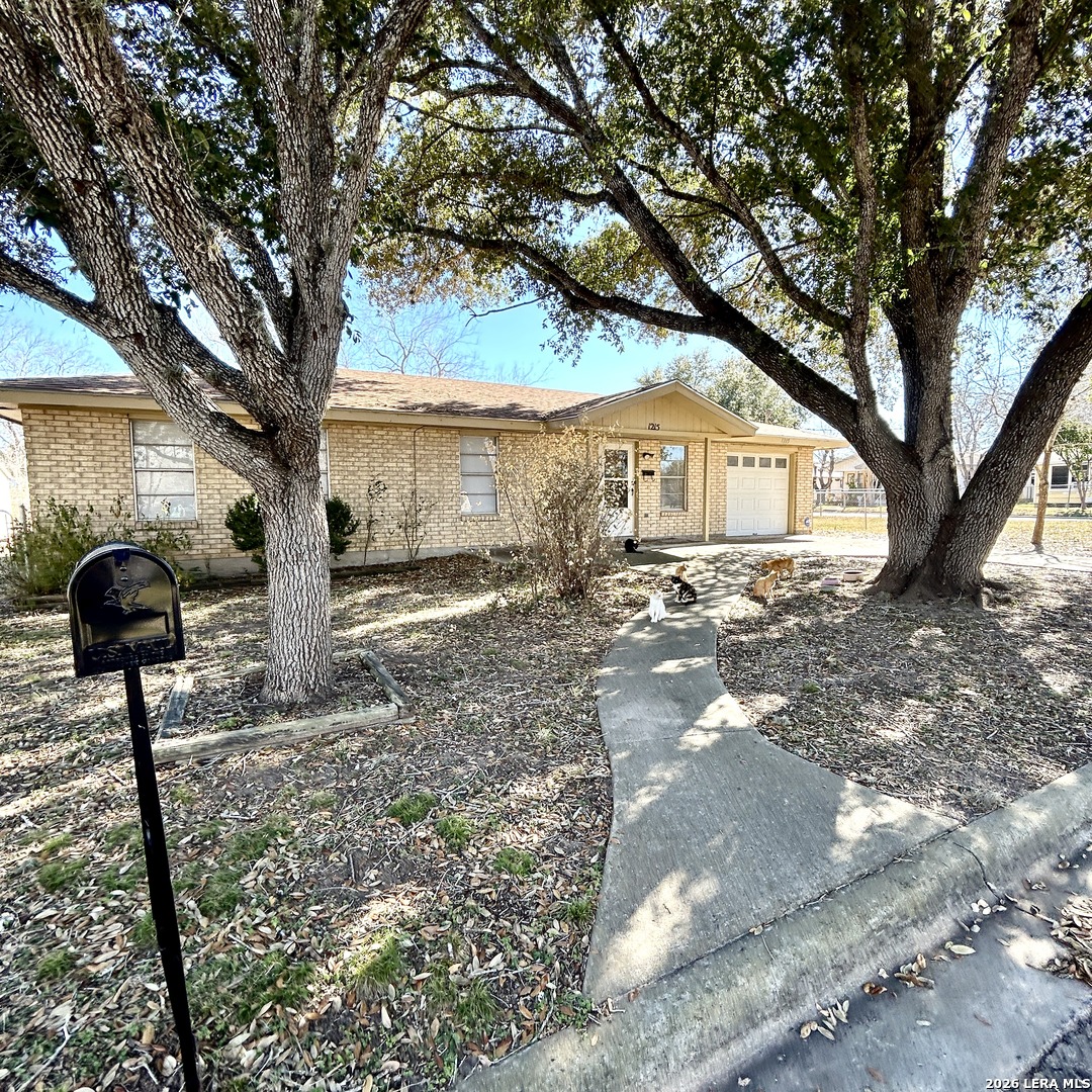 1215 W Crockett Beeville TX 78102