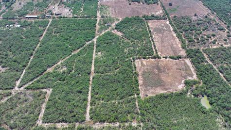 2822 Tomblin Road Bigfoot TX 78005