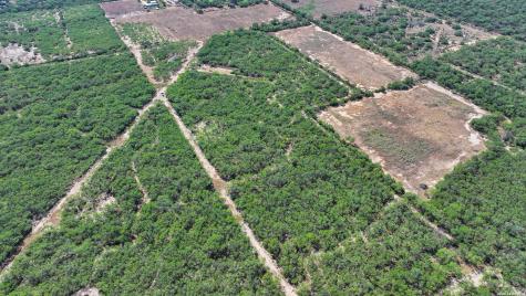 2822 Tomblin Road Bigfoot TX 78005