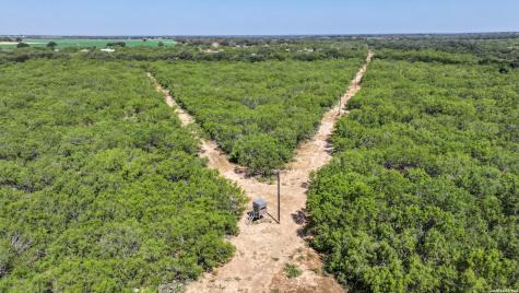 2822 Tomblin Road Bigfoot TX 78005
