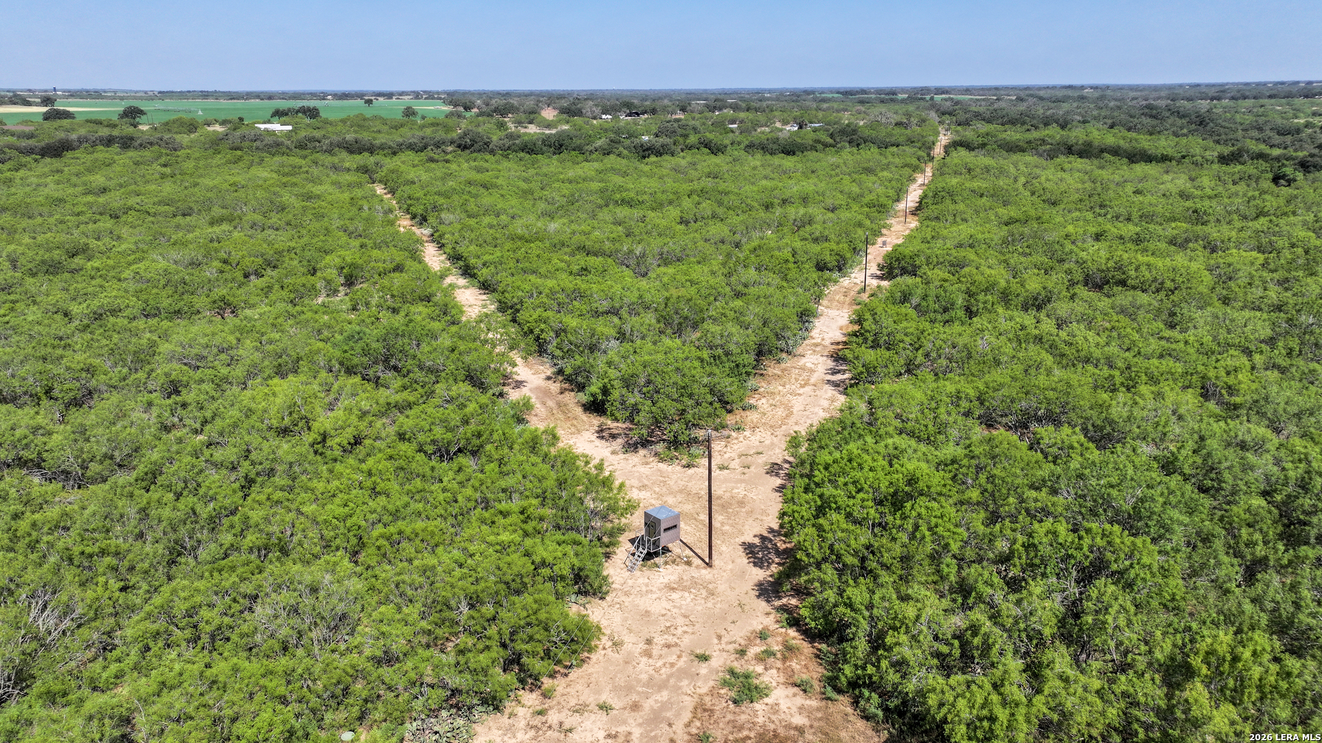 2822 Tomblin Road Bigfoot TX 78005