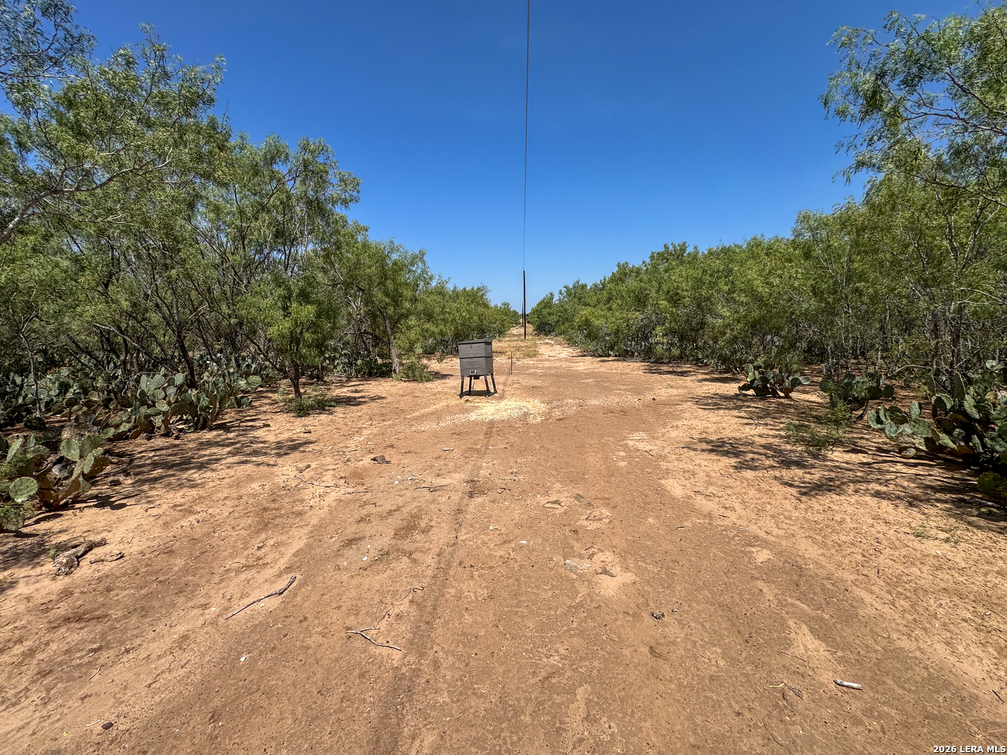 2822 Tomblin Road Bigfoot TX 78005