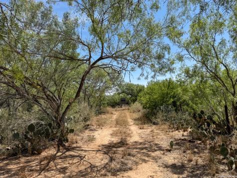 2822 Tomblin Road Bigfoot TX 78005