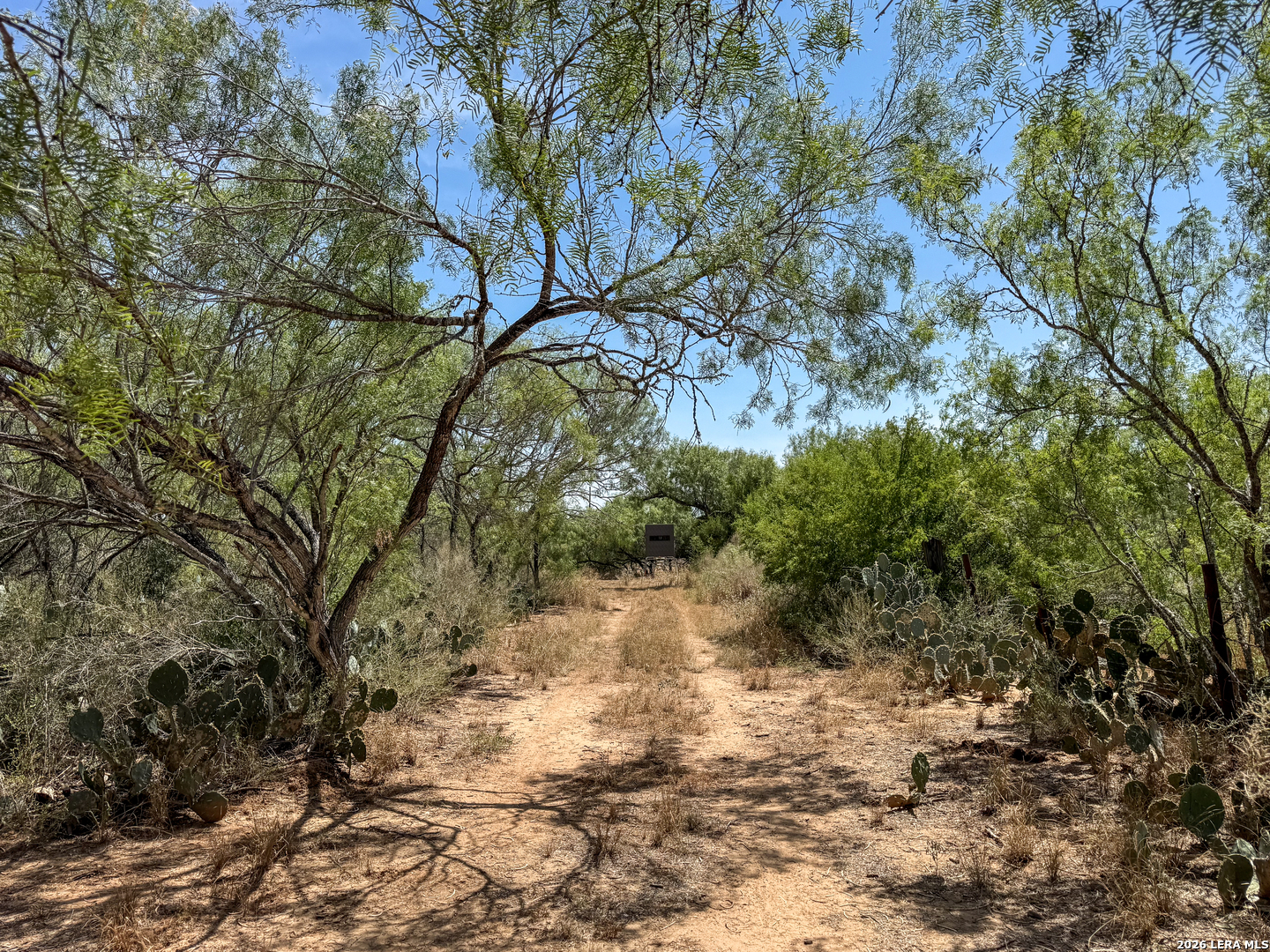 2822 Tomblin Road Bigfoot TX 78005