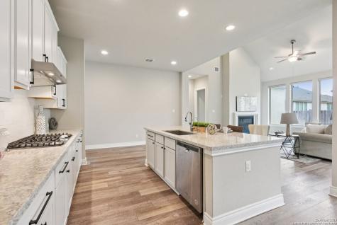 29740 Elkhorn Boerne TX 78015