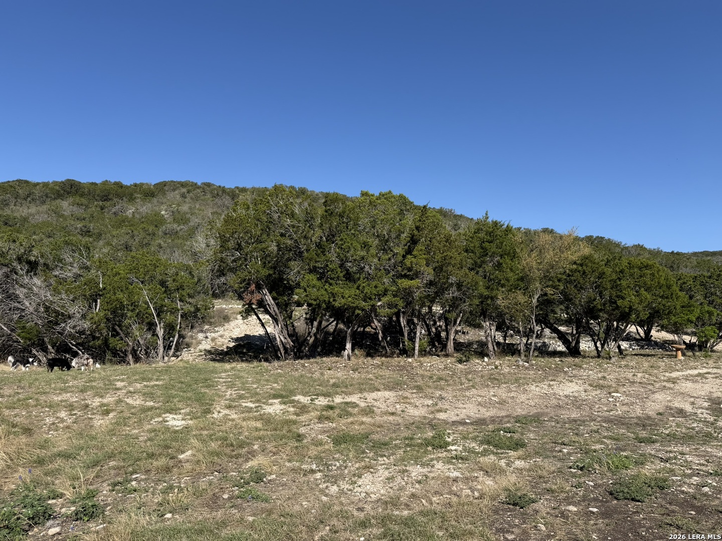 785 Private Road 3350 Concan TX 78838