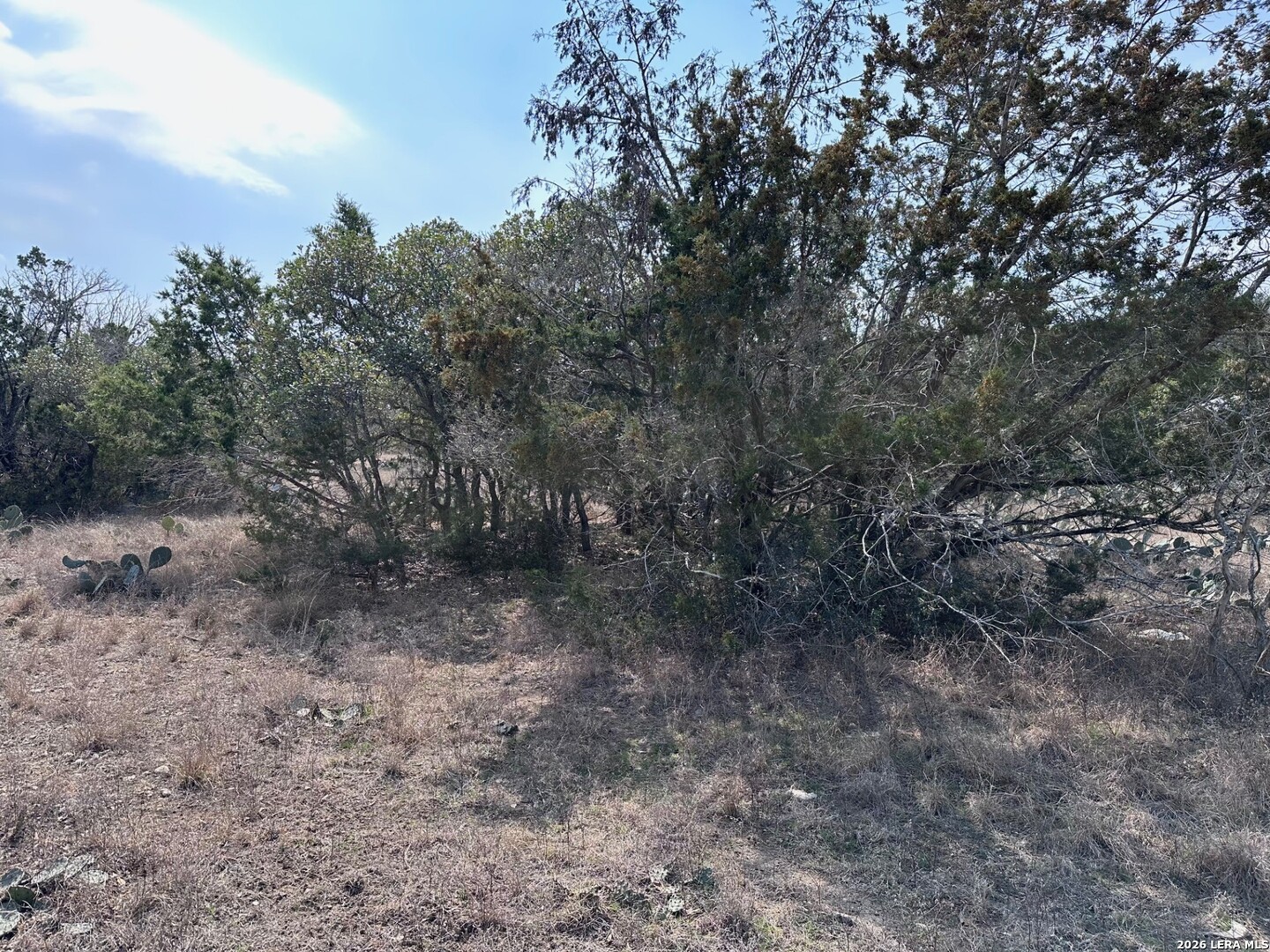 1341 Lakeshore Bandera TX 78003
