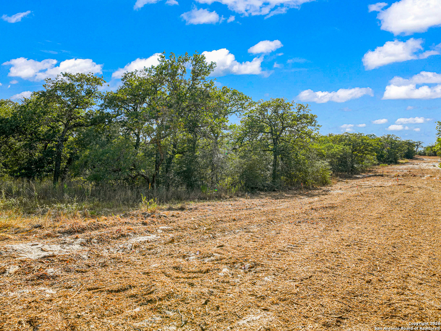 12180 Fm 1117 Seguin TX 78155