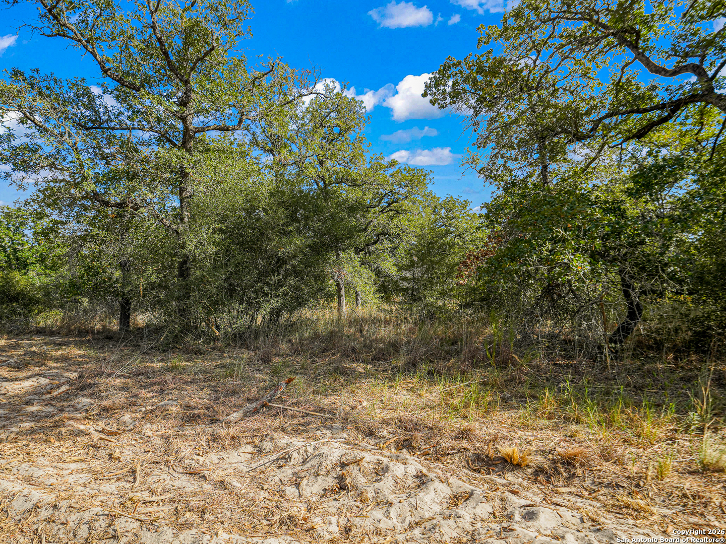 12180 Fm 1117 Seguin TX 78155