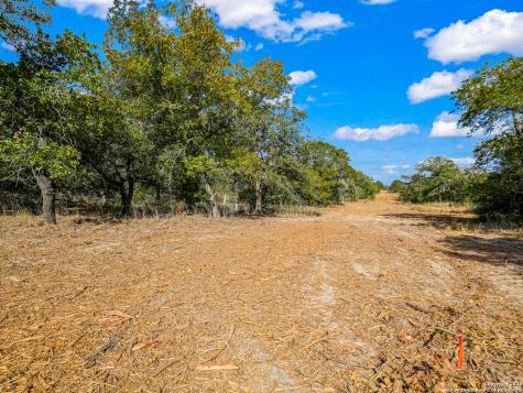 12180 Fm 1117 Seguin TX 78155