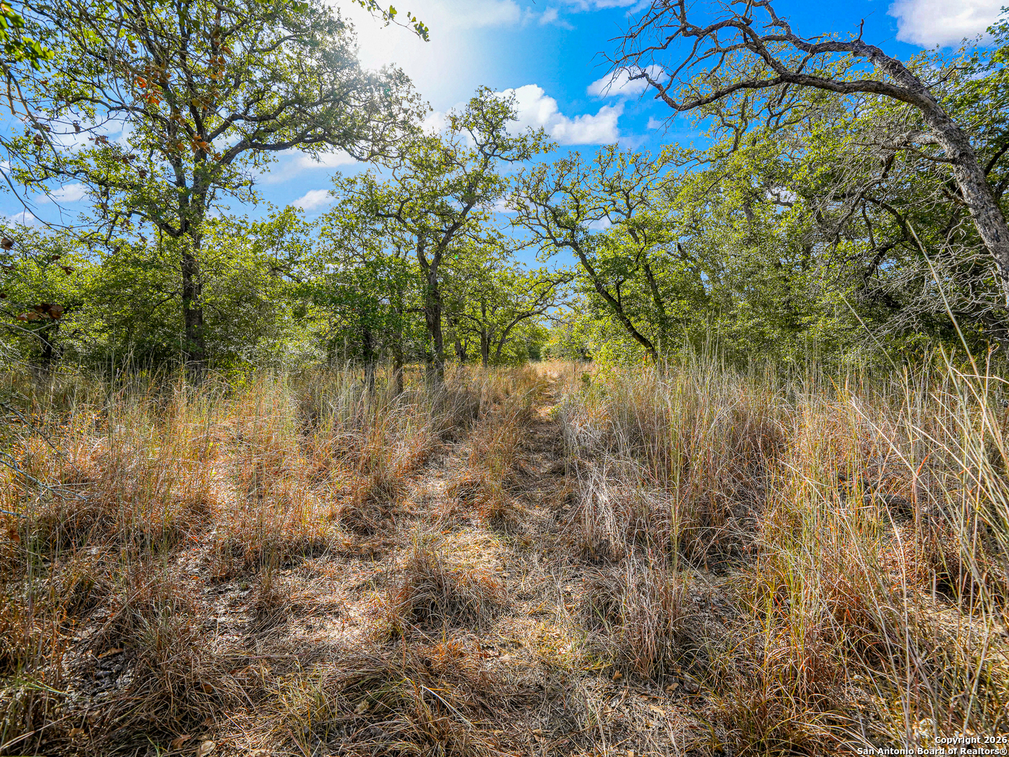 12180 Fm 1117 Seguin TX 78155