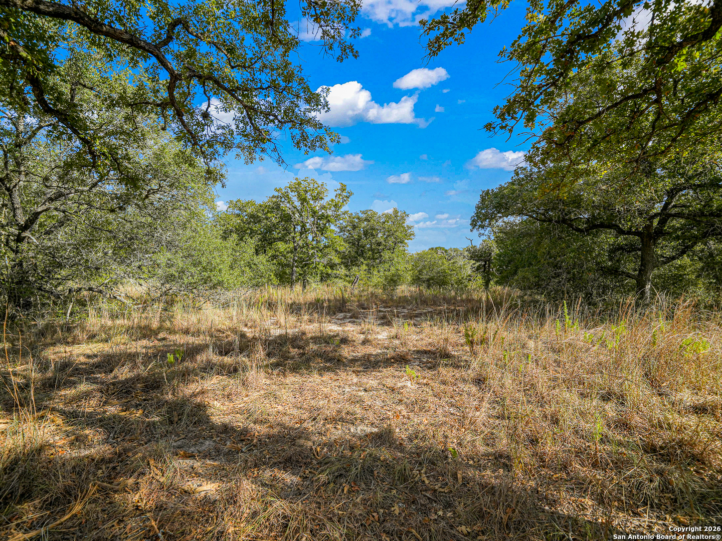 12180 Fm 1117 Seguin TX 78155