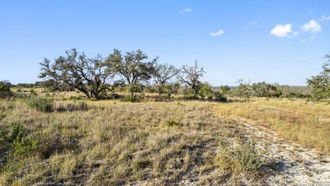 Lot 91 Axis Circle Fredericksburg TX 78624