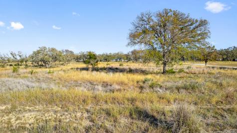 Lot 91 Axis Circle Fredericksburg TX 78624