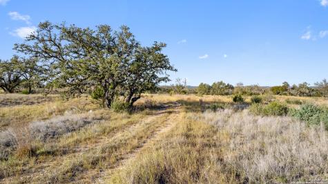 Lot 91 Axis Circle Fredericksburg TX 78624