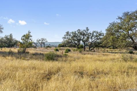 Lot 91 Axis Circle Fredericksburg TX 78624