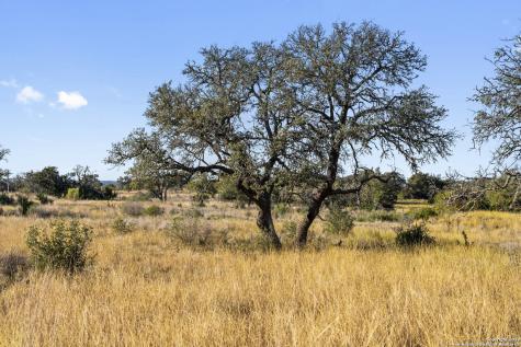 Lot 91 Axis Circle Fredericksburg TX 78624