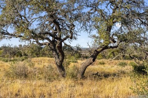 Lot 91 Axis Circle Fredericksburg TX 78624