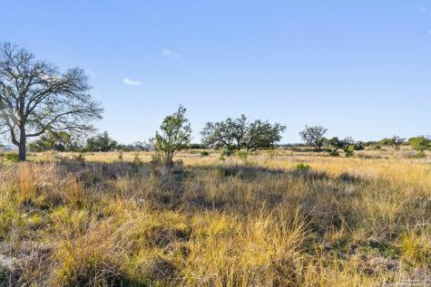 Lot 91 Axis Circle Fredericksburg TX 78624