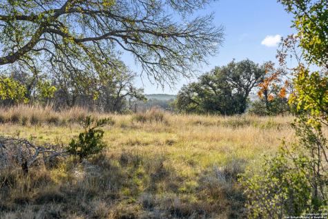 Lot 91 Axis Circle Fredericksburg TX 78624
