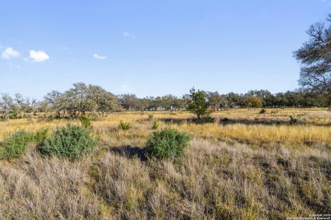 Lot 91 Axis Circle Fredericksburg TX 78624