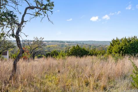 Lot 91 Axis Circle Fredericksburg TX 78624