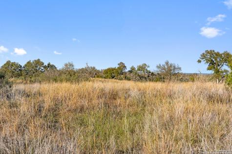Lot 91 Axis Circle Fredericksburg TX 78624