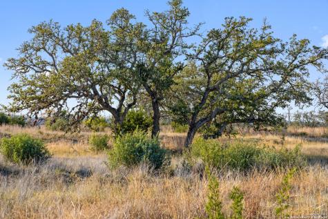 Lot 91 Axis Circle Fredericksburg TX 78624