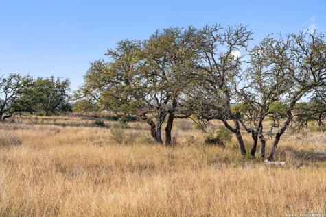 Lot 91 Axis Circle Fredericksburg TX 78624