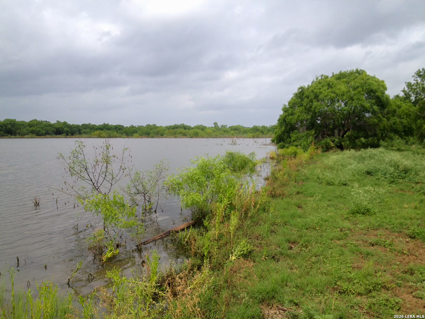 1277 County Road 138 Floresville TX 78114