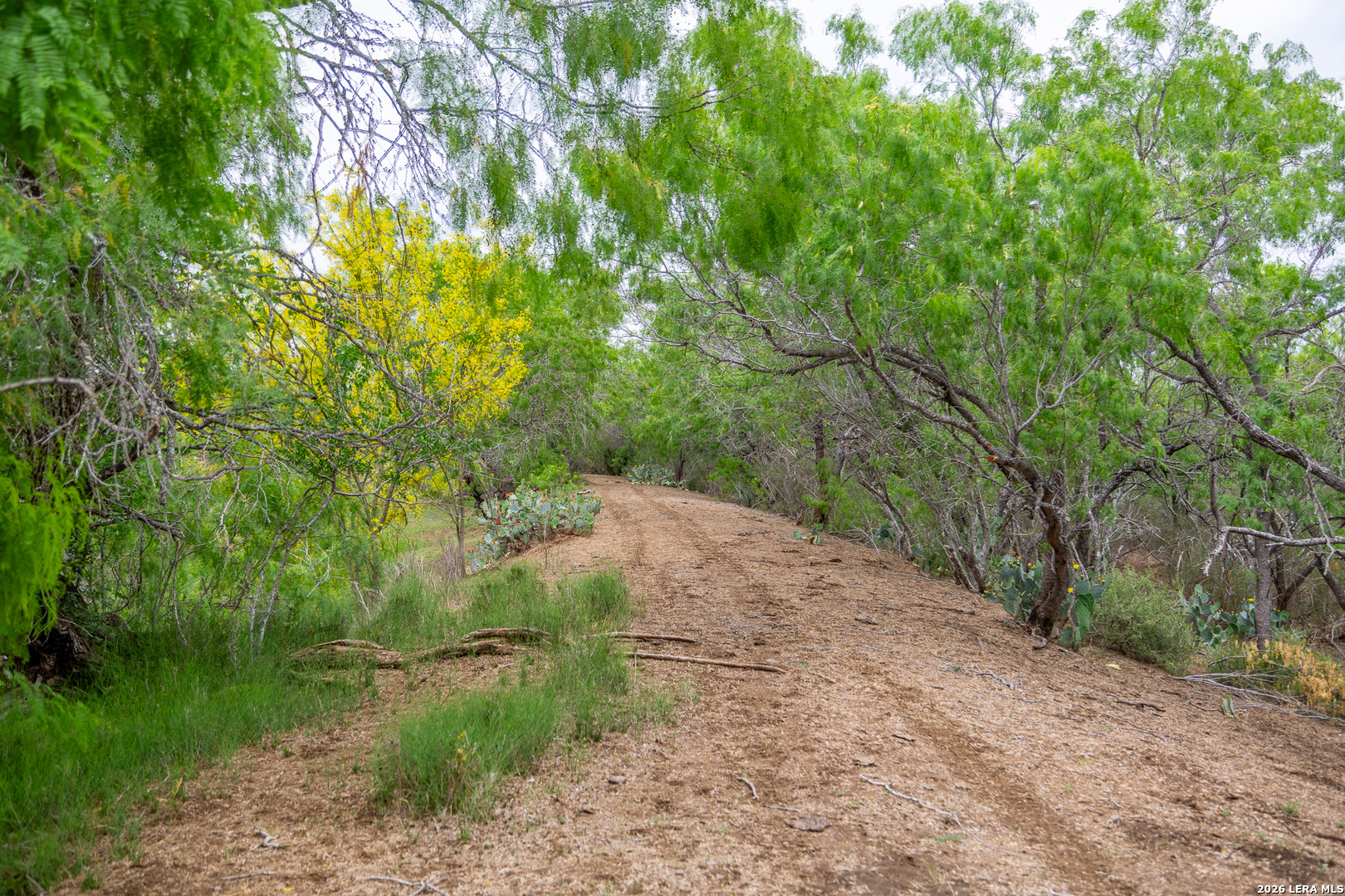 1277 County Road 138 Floresville TX 78114