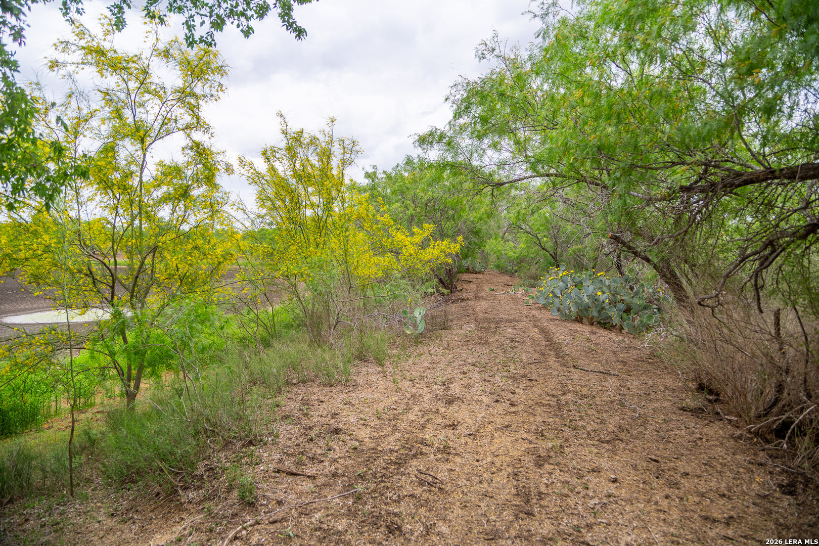 1277 County Road 138 Floresville TX 78114
